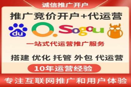成功运用SEM服务实现品牌快速成长的案例